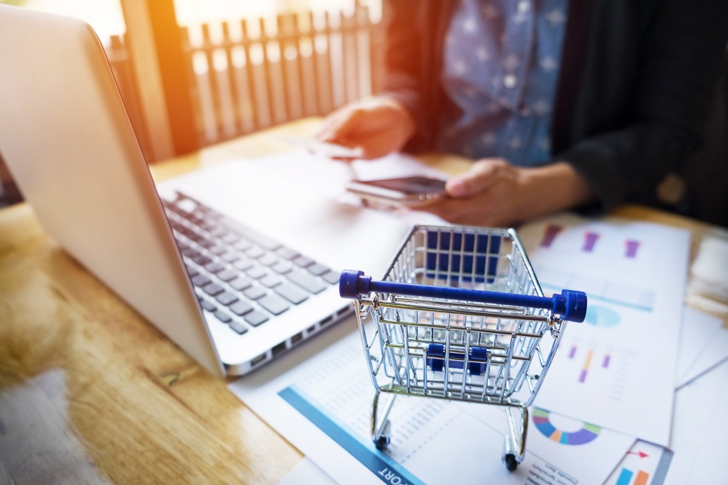 Compras Públicas